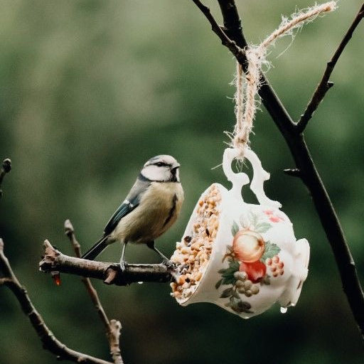 Theekopje gevuld met vogelvoer